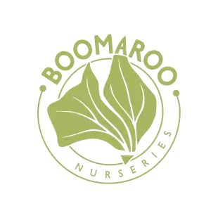 logo-boomaroo-rsize