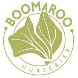 Boomaroo-Nurseries