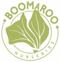 Boomaroo Nurseries Logo