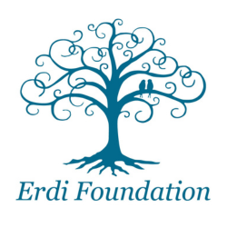 Erdi Foundation Logo